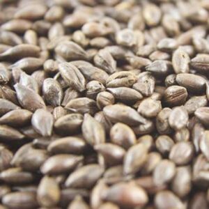 Joe White Roasted Barley 10 g