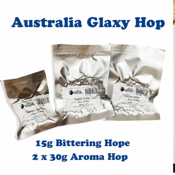 Gluten Free Galaxy Pale Ale Kit